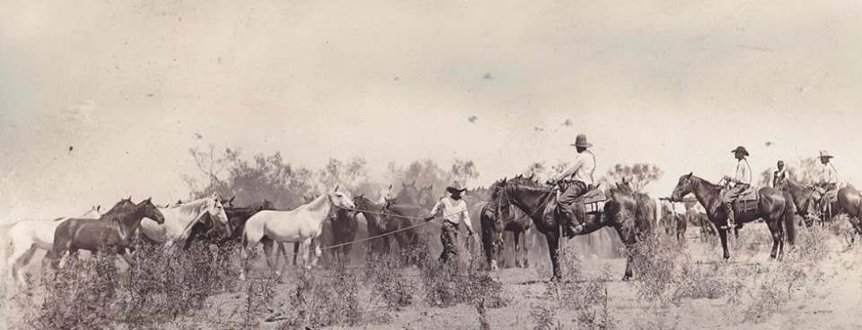 Tongue River Ranch